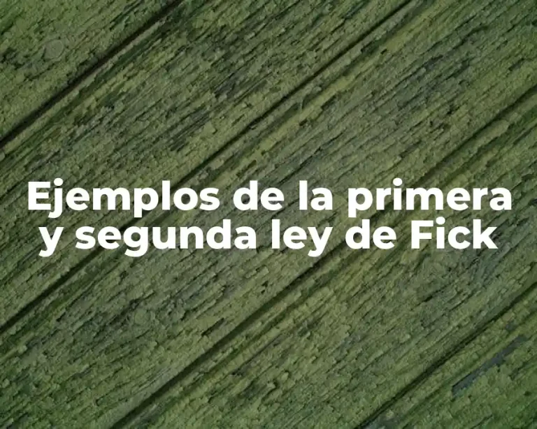 Ejemplos de la primera y segunda ley de Fick