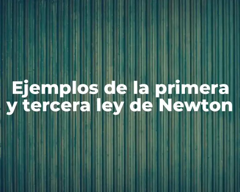Ejemplos de la primera y tercera ley de Newton