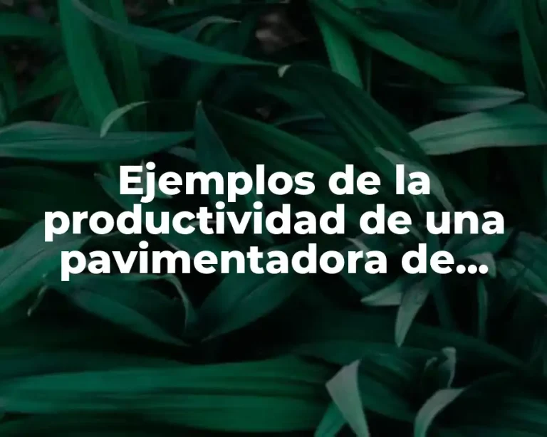 Ejemplos de la productividad de una pavimentadora de concreto asfáltico
