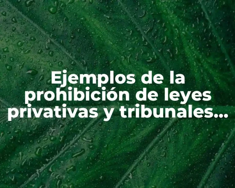 Ejemplos de la prohibición de leyes privativas y tribunales especiales