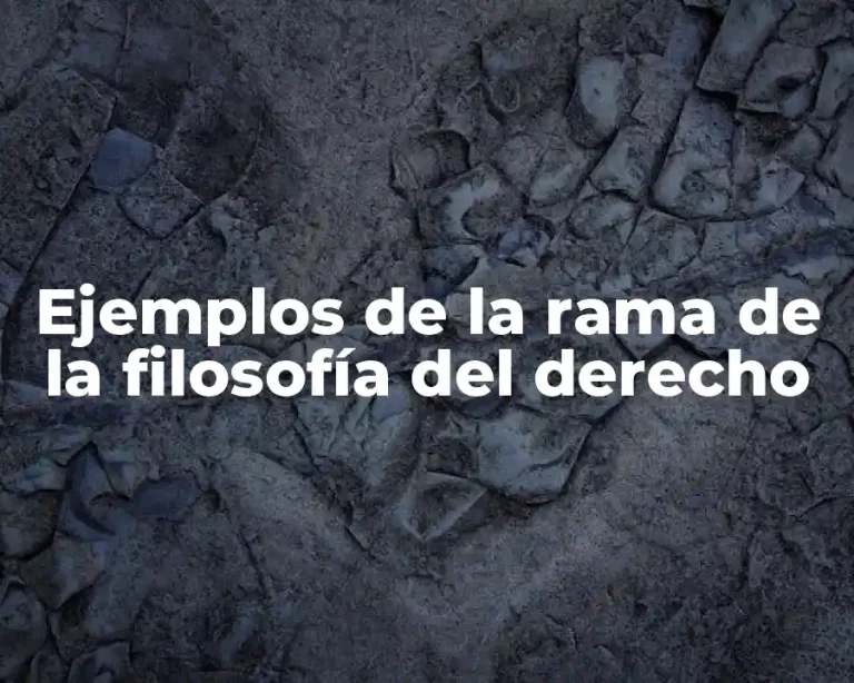 Ejemplos de la rama de la filosofía del derecho
