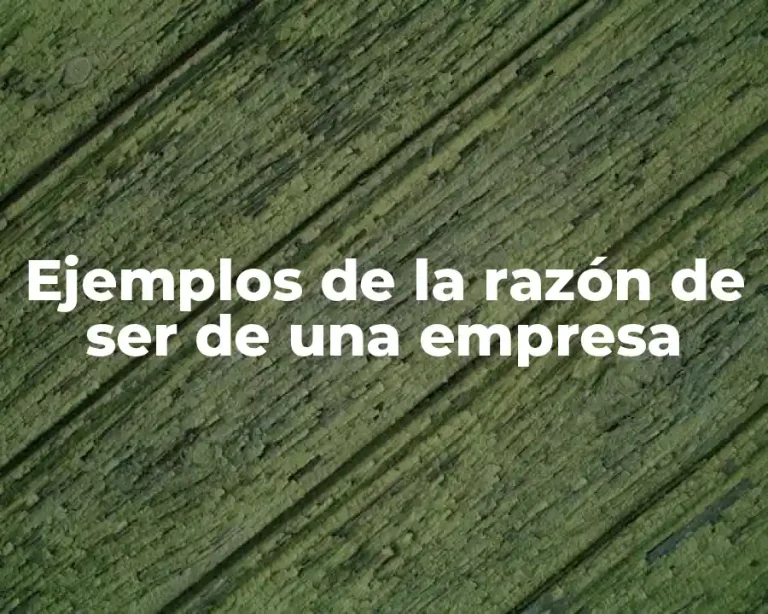 Ejemplos de la razón de ser de una empresa