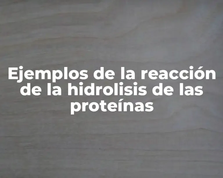 Ejemplos de la reacción de la hidrolisis de las proteínas