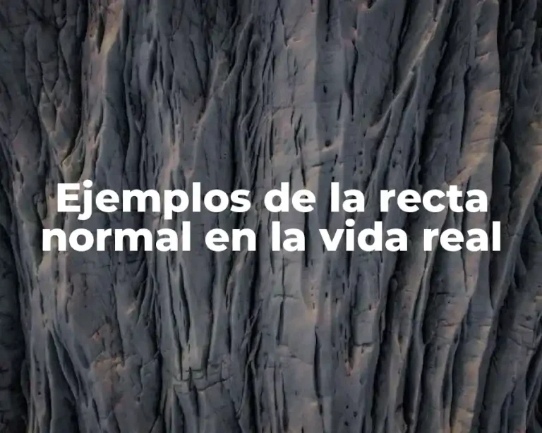 Ejemplos de la recta normal en la vida real