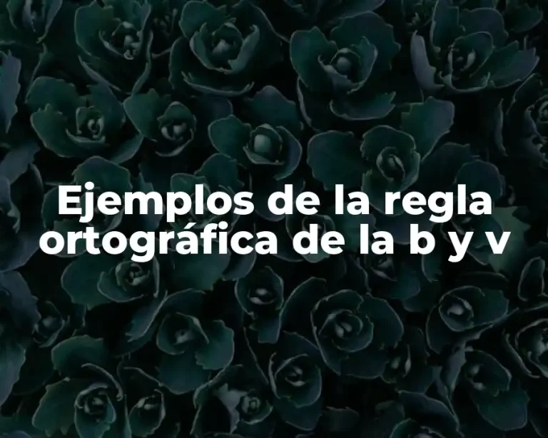 Ejemplos de la regla ortográfica de la b y v