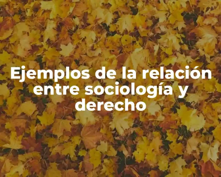 Ejemplos de la relación entre sociología y derecho