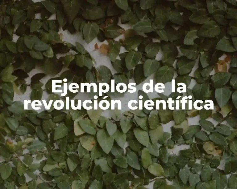 Ejemplos de la revolución científica
