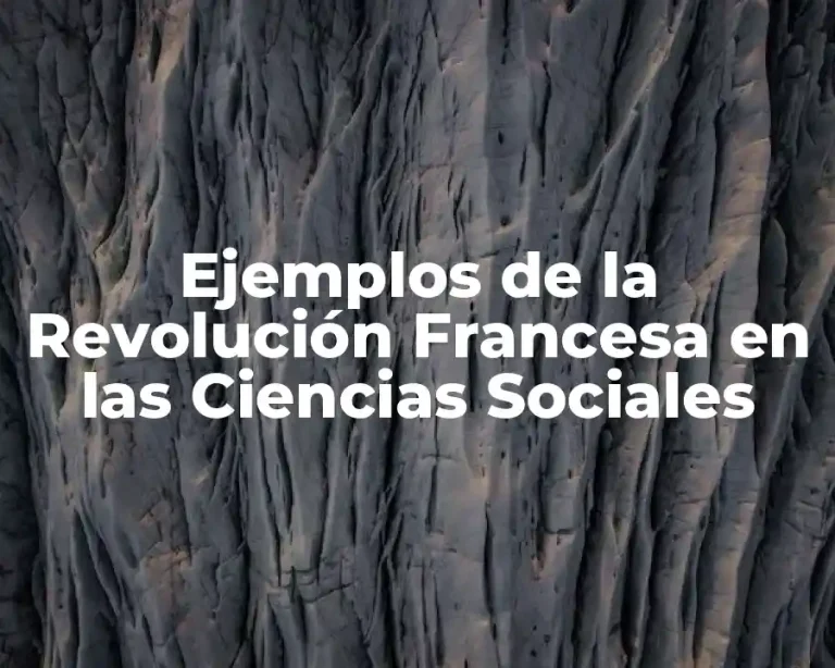 Ejemplos de la Revolución Francesa en las Ciencias Sociales