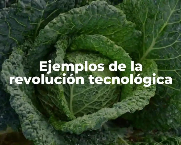 Ejemplos de la revolución tecnológica