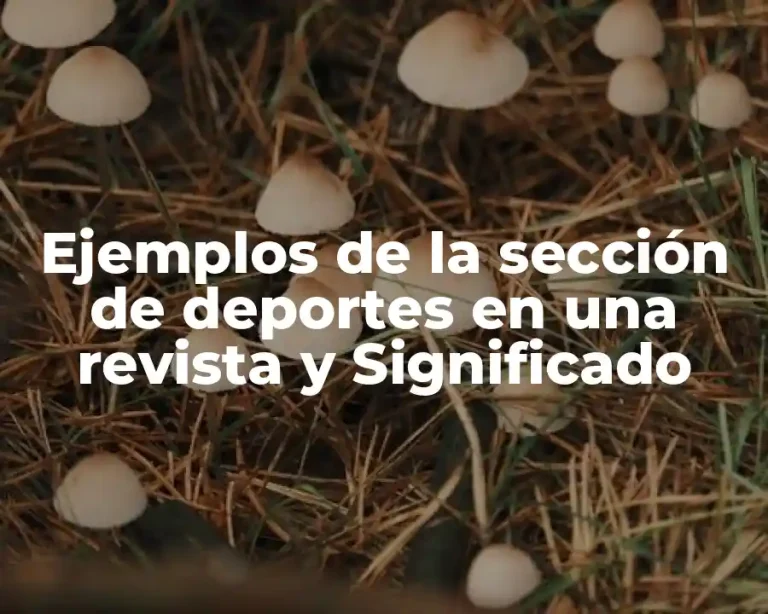 Ejemplos de la sección de deportes en una revista y Significado