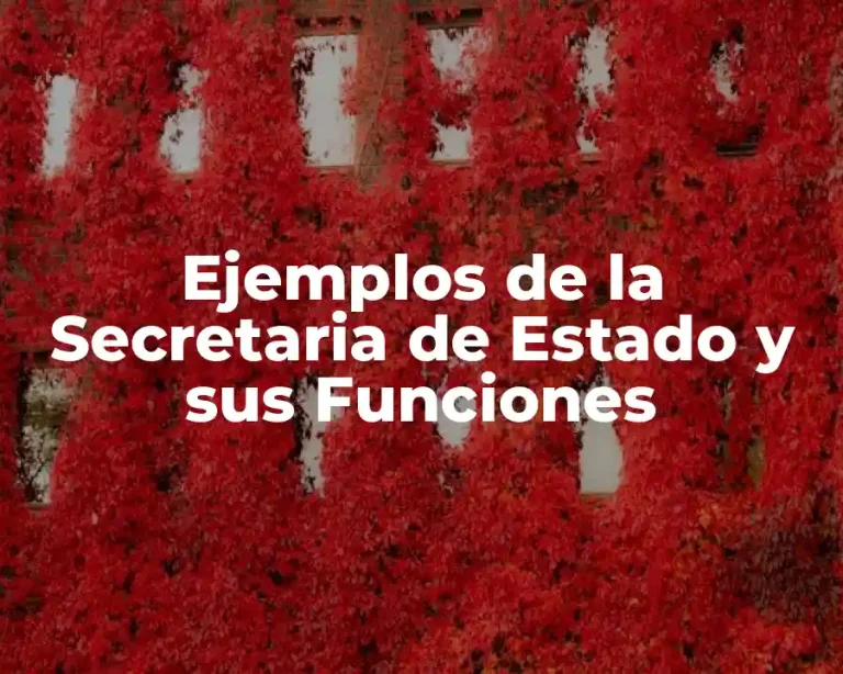 Ejemplos de la Secretaria de Estado y sus Funciones