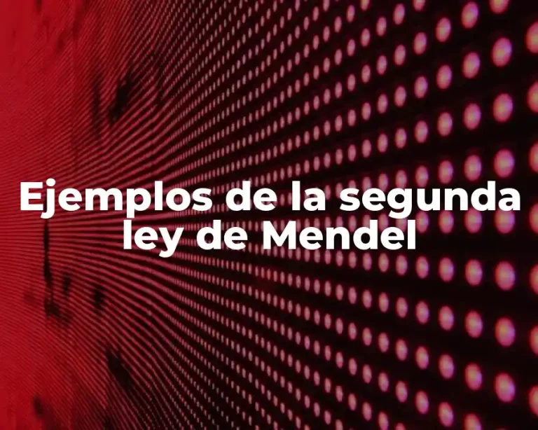 Ejemplos de la segunda ley de Mendel