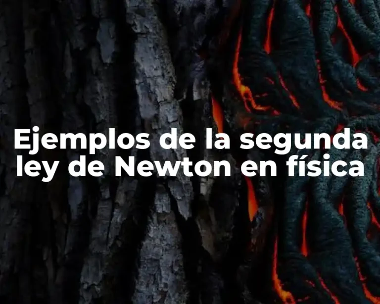 Ejemplos de la segunda ley de Newton en física
