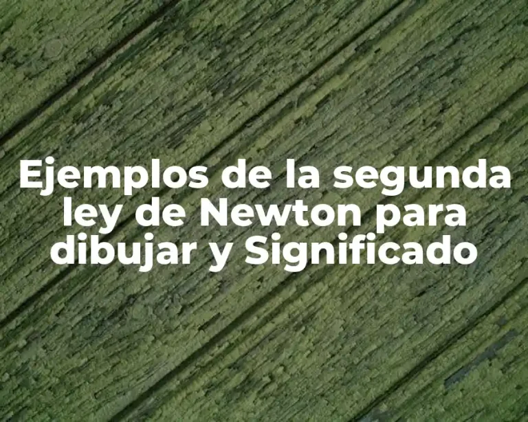 Ejemplos de la segunda ley de Newton para dibujar y Significado