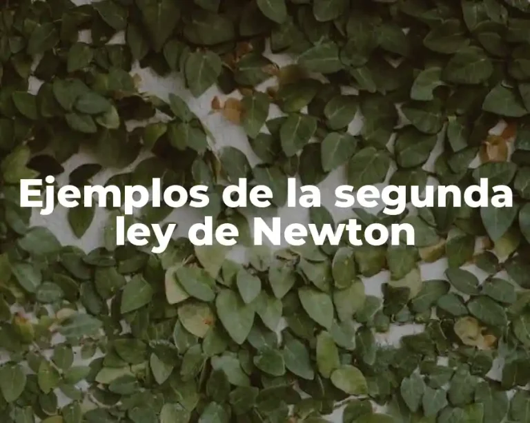 Ejemplos de la segunda ley de Newton