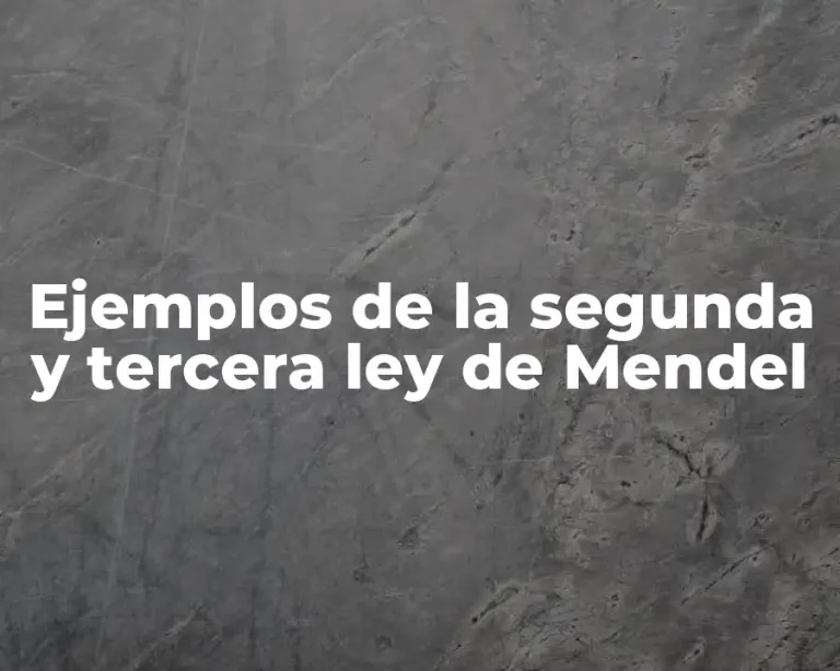 Ejemplos de la segunda y tercera ley de Mendel