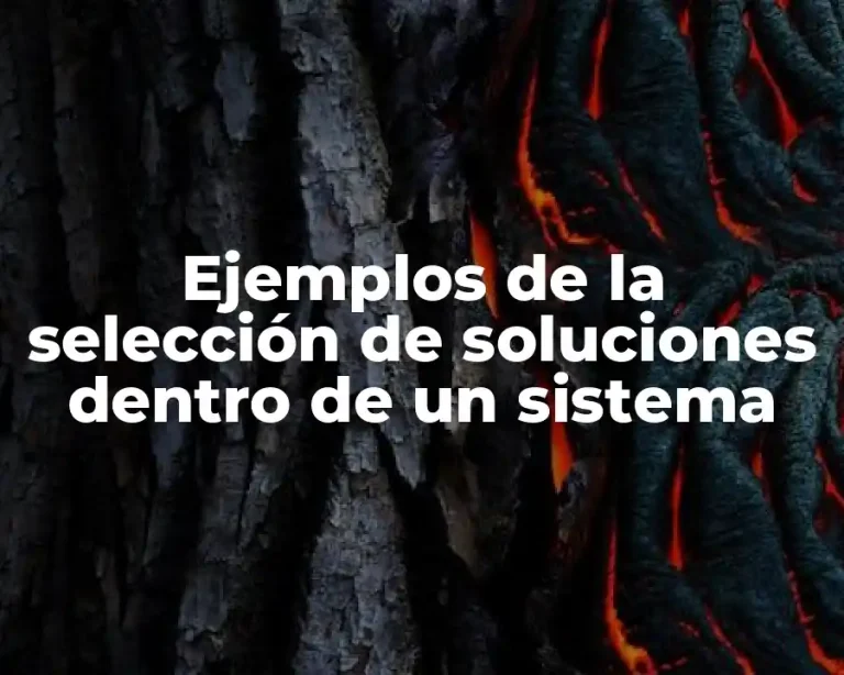Ejemplos de la selección de soluciones dentro de un sistema
