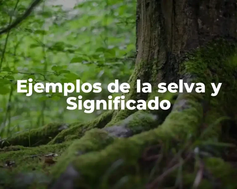 Ejemplos de la selva y Significado