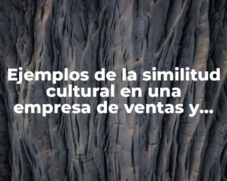 Ejemplos de la similitud cultural en una empresa de ventas y Significado