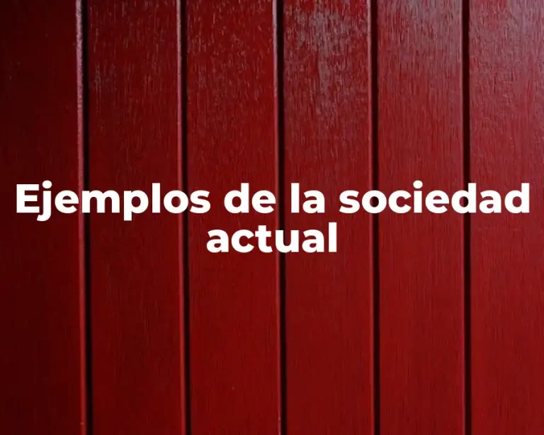 Ejemplos de la sociedad actual