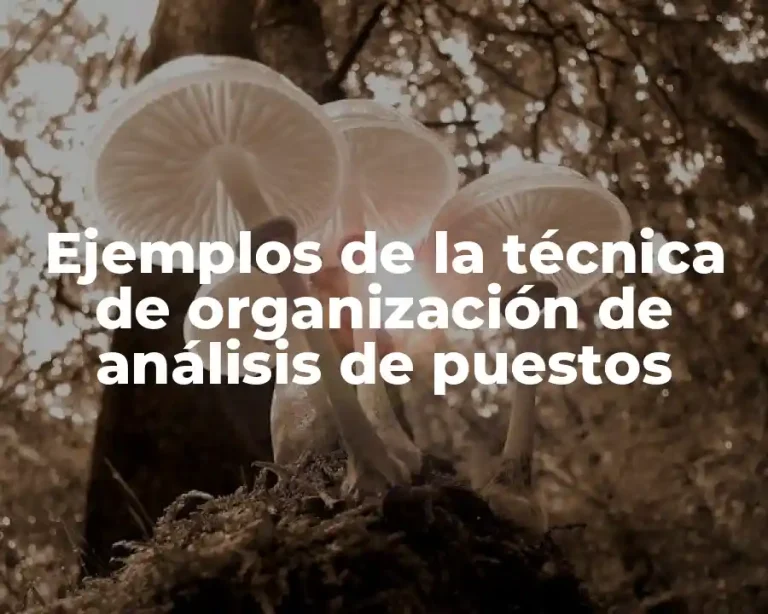 Ejemplos de la técnica de organización de análisis de puestos
