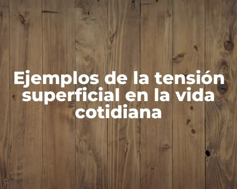Ejemplos de la tensión superficial en la vida cotidiana