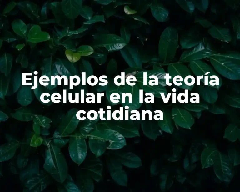 Ejemplos de la teoría celular en la vida cotidiana