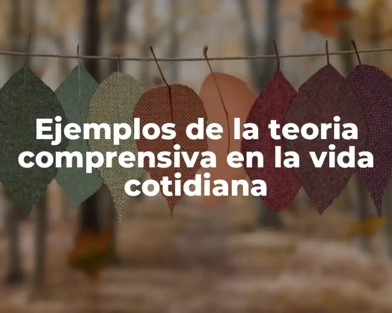 Ejemplos de la teoria comprensiva en la vida cotidiana