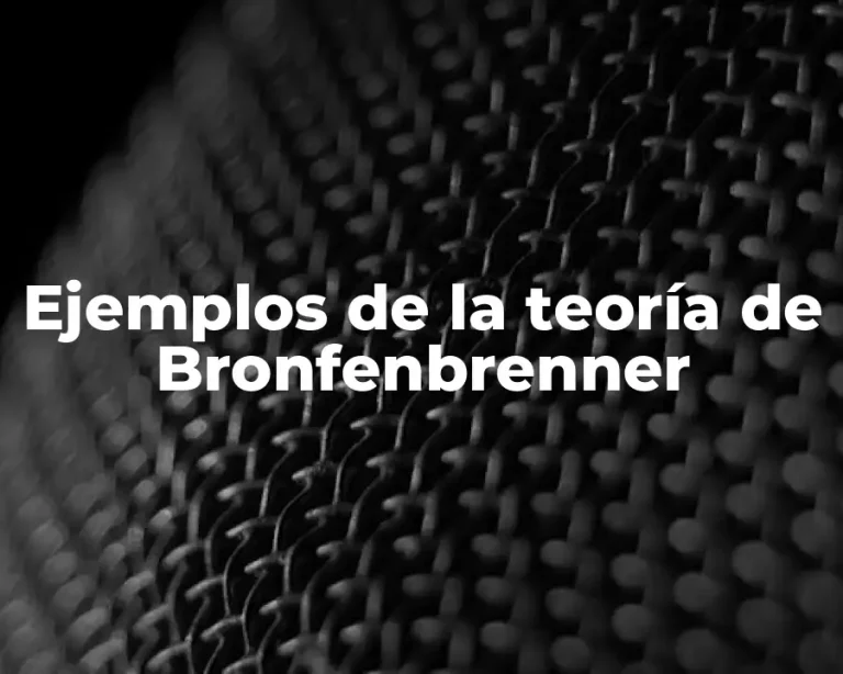 Ejemplos de la teoría de Bronfenbrenner