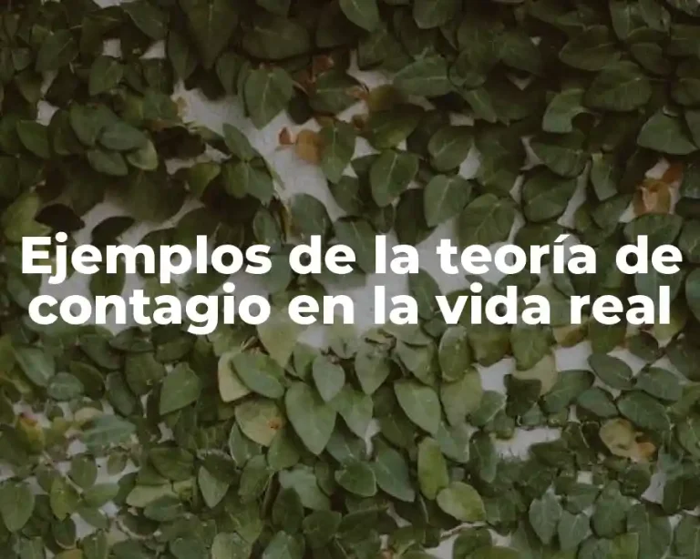 Ejemplos de la teoría de contagio en la vida real