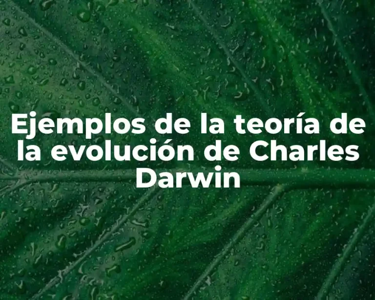 Ejemplos de la teoría de la evolución de Charles Darwin