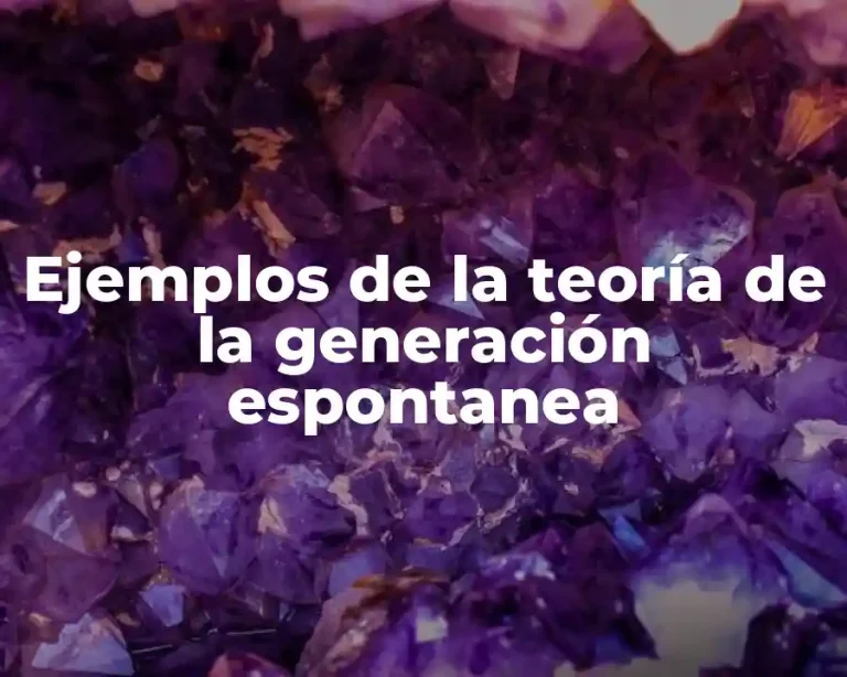 Ejemplos de la teoría de la generación espontanea