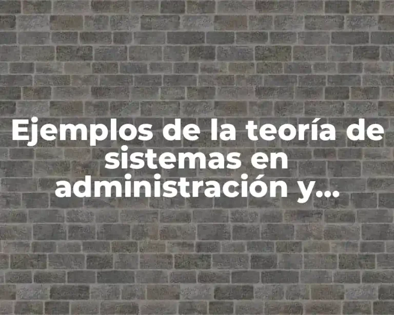 Ejemplos de la teoría de sistemas en administración y Significado