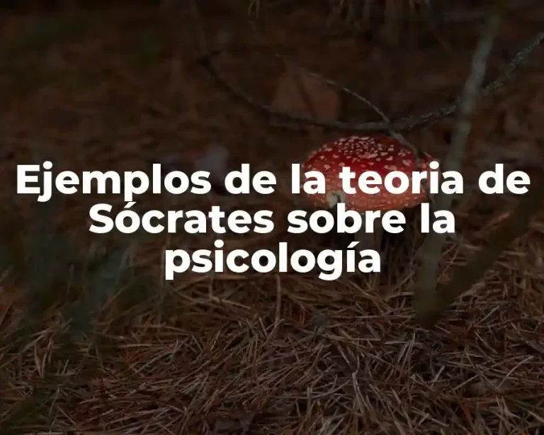 Ejemplos de la teoria de Sócrates sobre la psicología