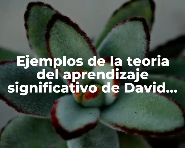 Ejemplos de la teoria del aprendizaje significativo de David Ausubel
