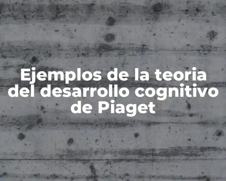 Ejemplos de la teoria del desarrollo cognitivo de Piaget