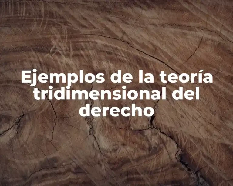 Ejemplos de la teoría tridimensional del derecho
