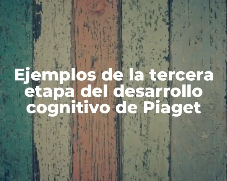 Ejemplos de la tercera etapa del desarrollo cognitivo de Piaget