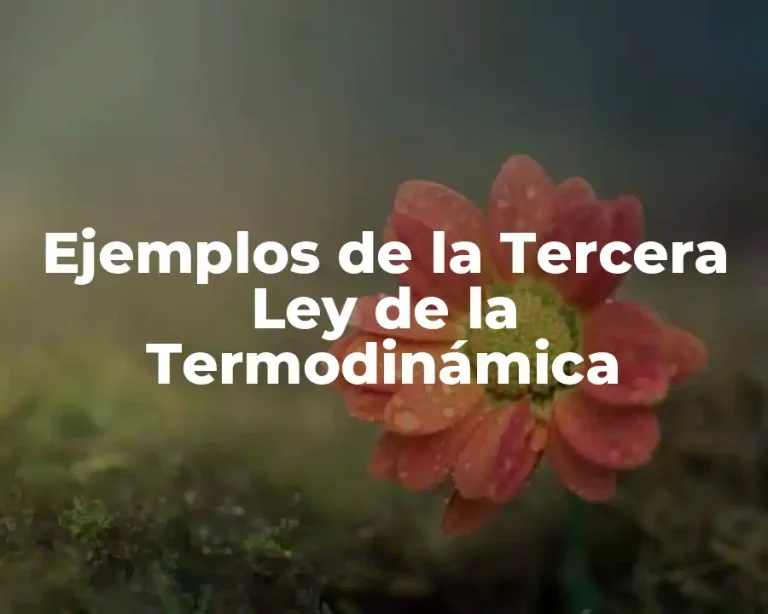 Ejemplos de la Tercera Ley de la Termodinámica