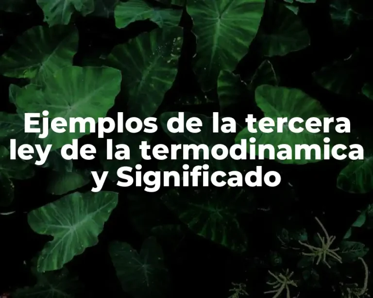 Ejemplos de la tercera ley de la termodinamica y Significado