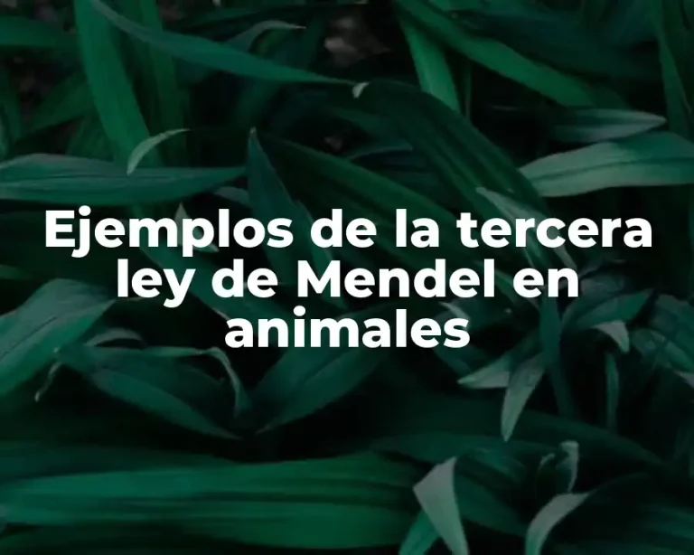 Ejemplos de la tercera ley de Mendel en animales