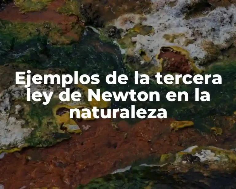 Ejemplos de la tercera ley de Newton en la naturaleza
