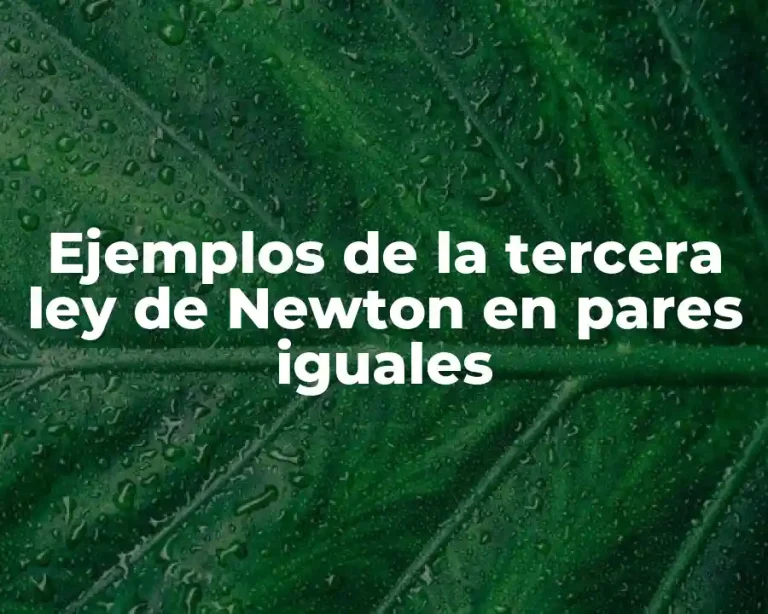 Ejemplos de la tercera ley de Newton en pares iguales