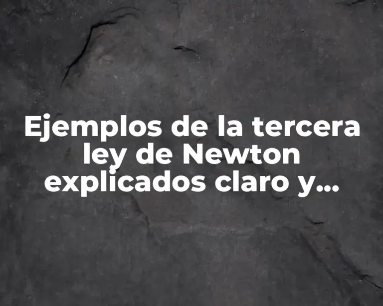 Ejemplos de la tercera ley de Newton explicados claro y organizado.