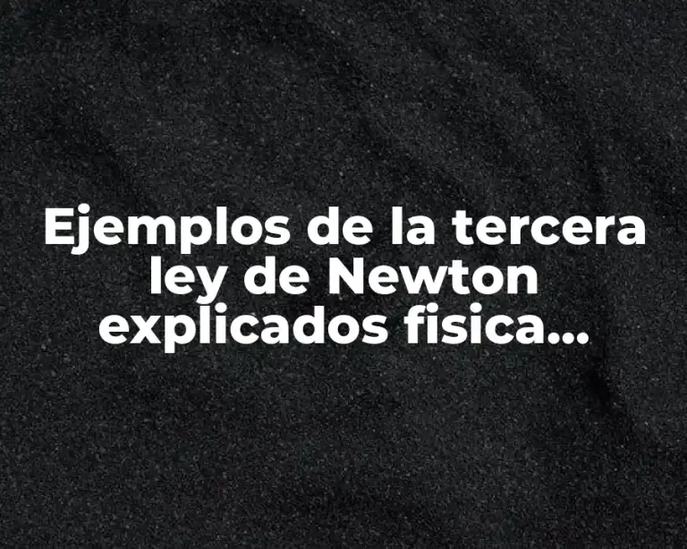 Ejemplos de la tercera ley de Newton explicados fisica LifeProof