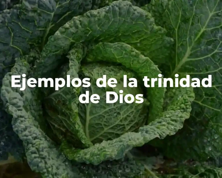 Ejemplos de la trinidad de Dios
