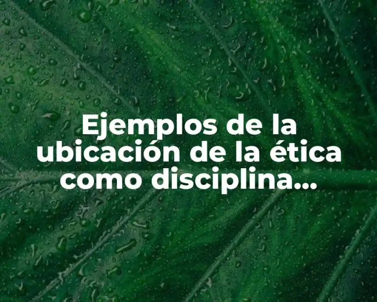Ejemplos de la ubicación de la ética como disciplina filosófica