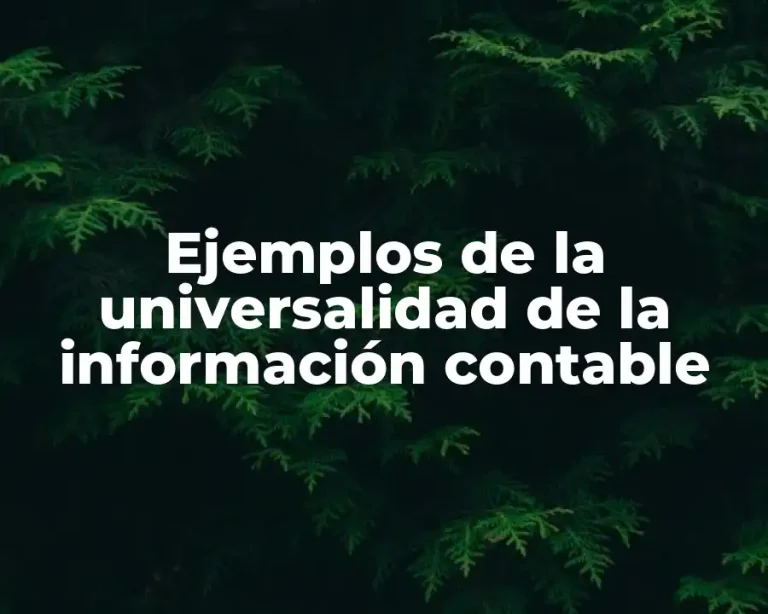 Ejemplos de la universalidad de la información contable