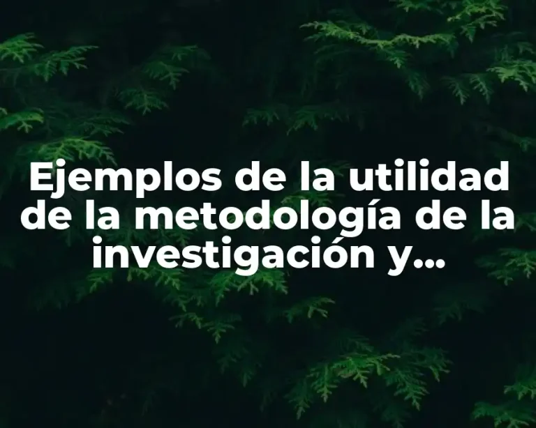 Ejemplos de la utilidad de la metodología de la investigación y Significado