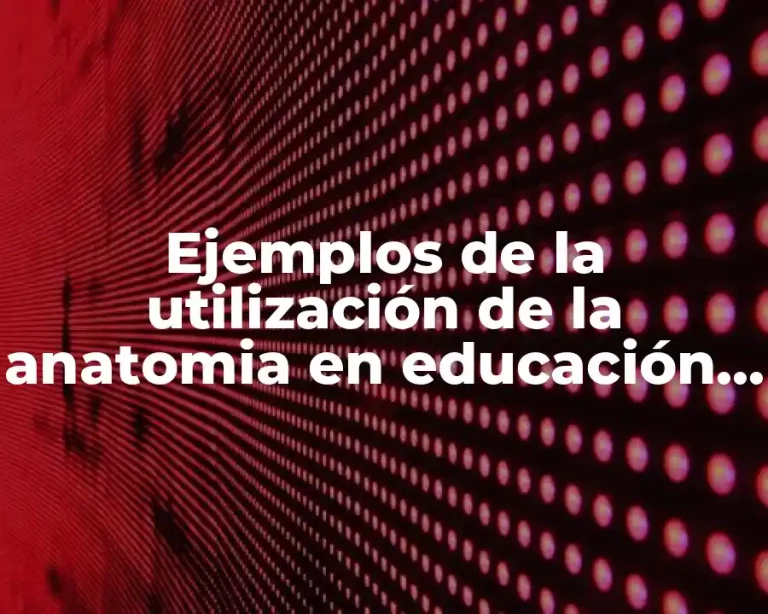 Ejemplos de la utilización de la anatomia en educación física